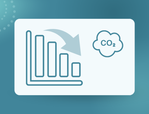 Carbon Report in Vietnam: A Turning Point for Businesses